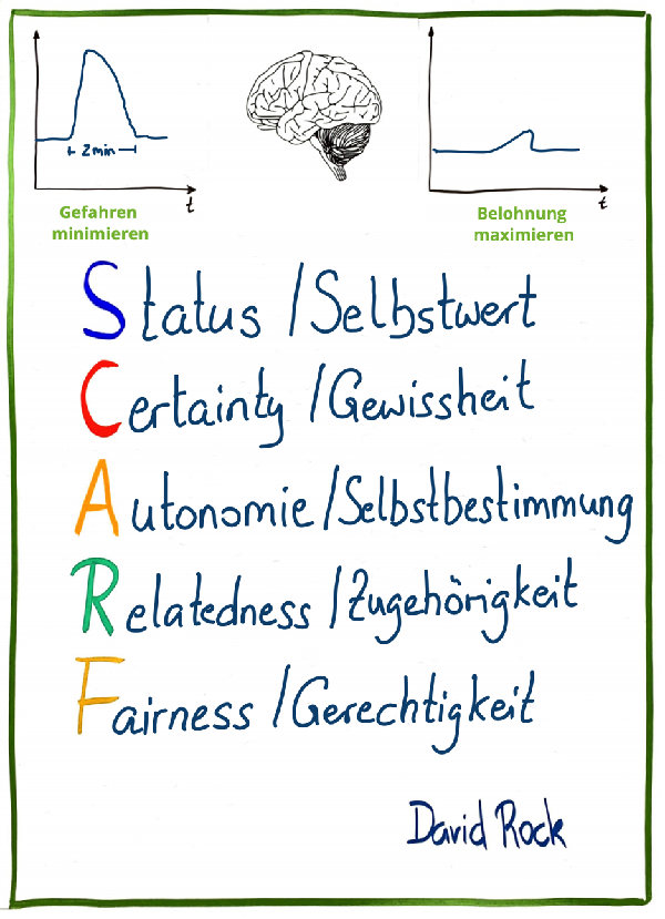 Abb.2_Die_fünf_Scarf_Werte