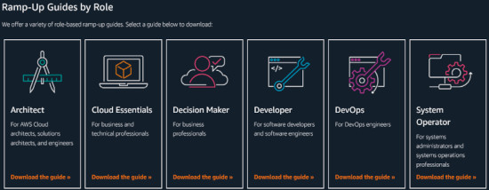 Abb02_Ramp-up-Führern