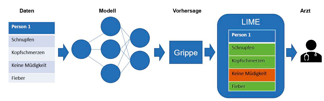 Abb. 3: Erklärung individueller Prognosen für einen menschlichen Entscheidungsträger wie zum Beispiel einen Arzt (in Anlehnung an Marco Tulio Ribeiro [6])