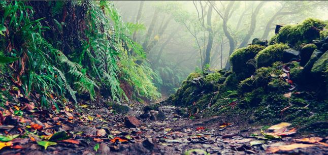 App(-Modernisierung) in die Cloud