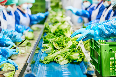 IT-Nothilfepakt auf Augenhöhe – Anwender helfen sich im IT-Notfall gegenseitig