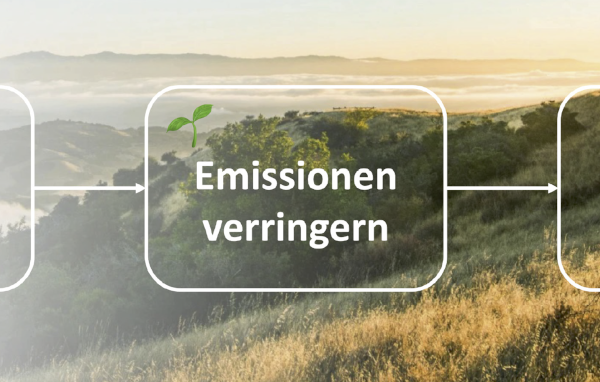 Digitale Geschäftsprozesse klimabewusst ausführen