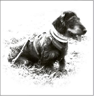 Auf der Jagd mit Herrn Wuttlinger Teil 2 ...