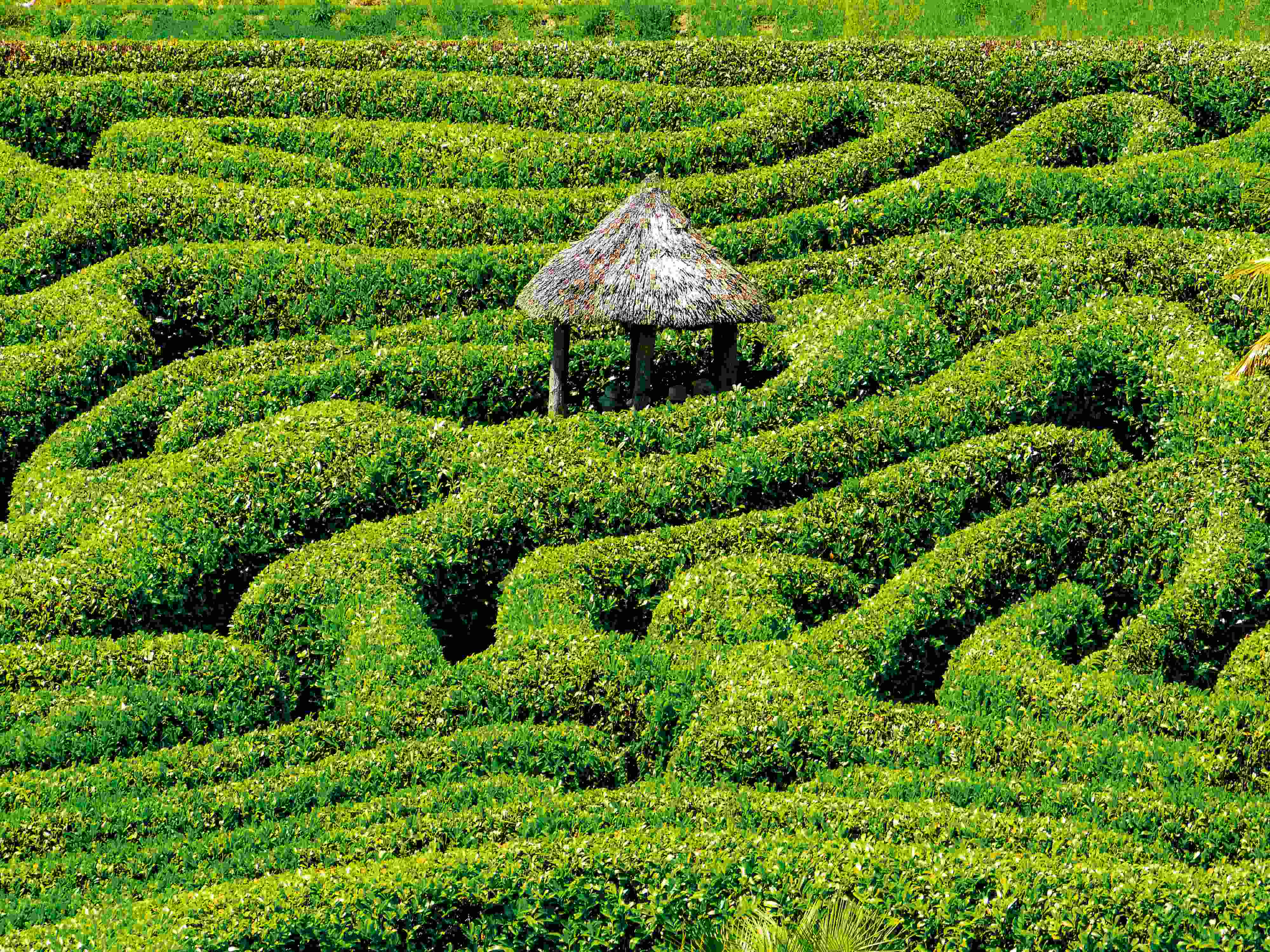 Automatisierung einen Schritt weitergedacht