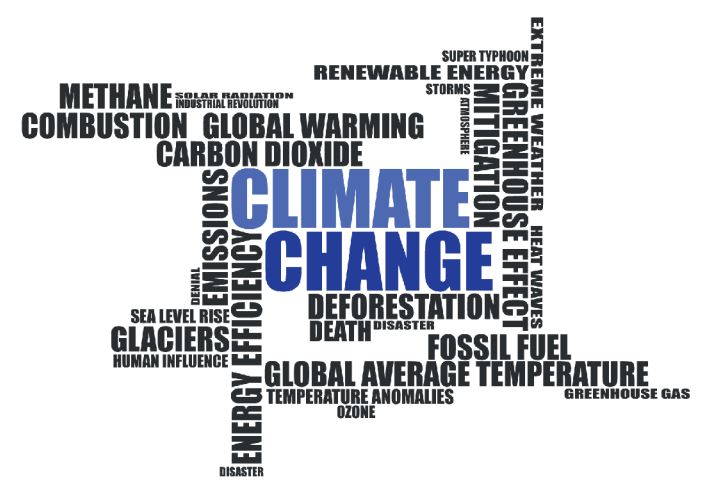 Nachhaltigkeit im SoftwareEngineering – Teil 4: Zombies