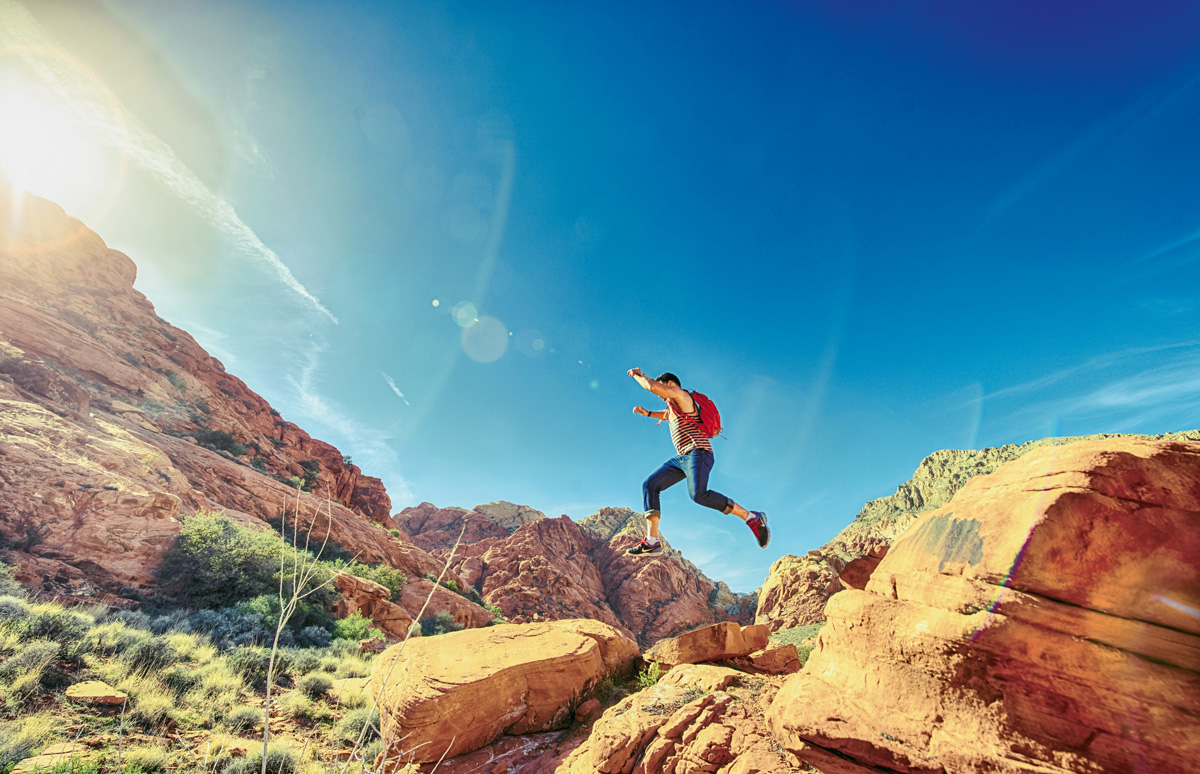 Das „Whole Product Model” auf den „Technology Adoption Life Cycle” angewandt