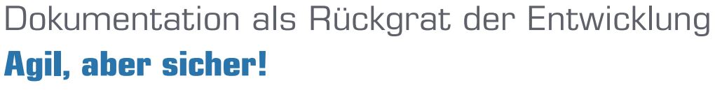 Agil, aber sicher!