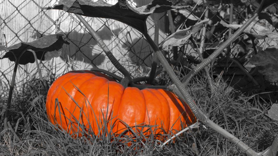 Die Java-Klassen BigInteger und BigDecimal