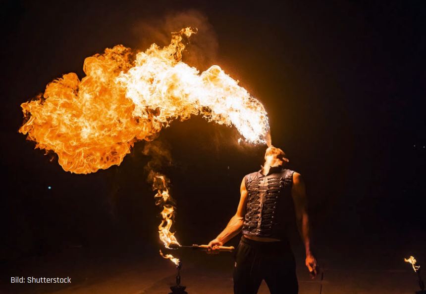 Die Bändigung des Feuers