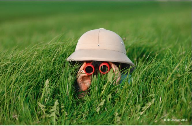 Wieso Search kein Feature ist