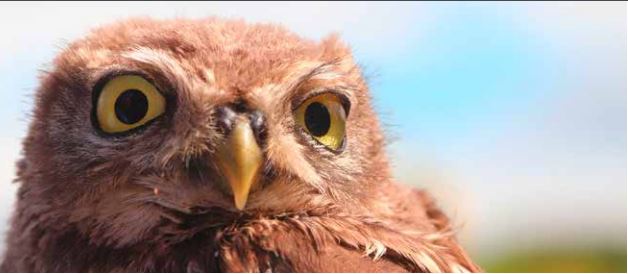 Diverses zu Maven, Teil 2