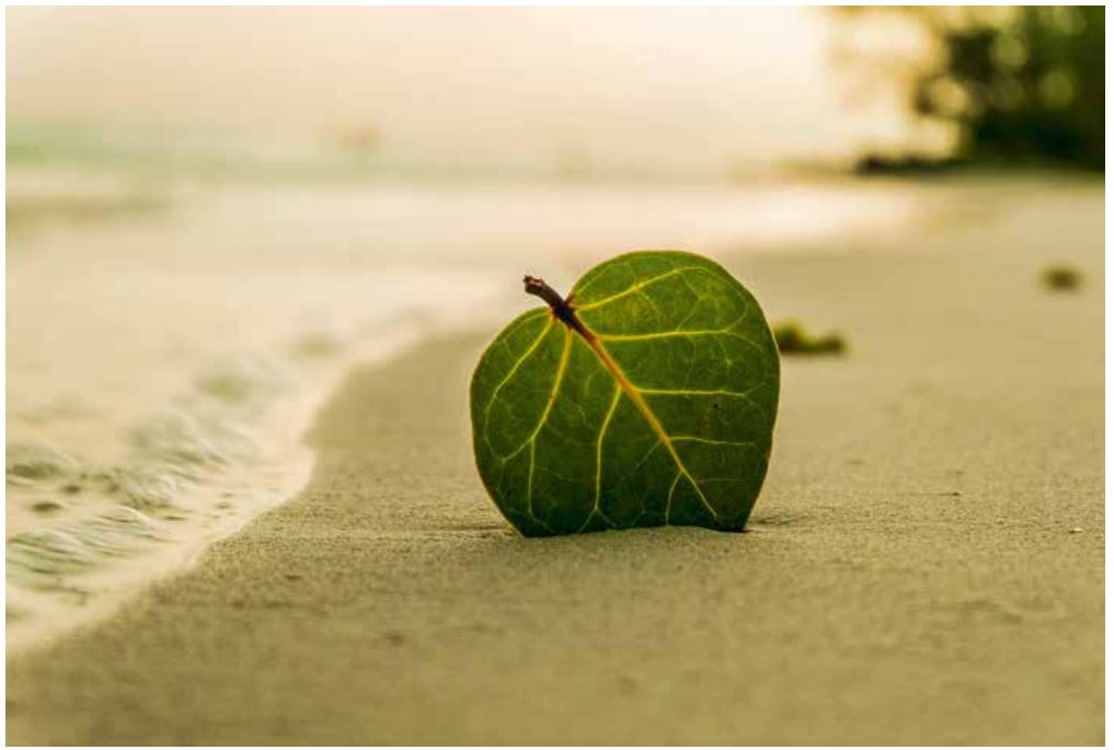 ... es lebe Spring (Boot)!