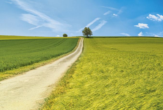 Jenseits der grünen Wiese