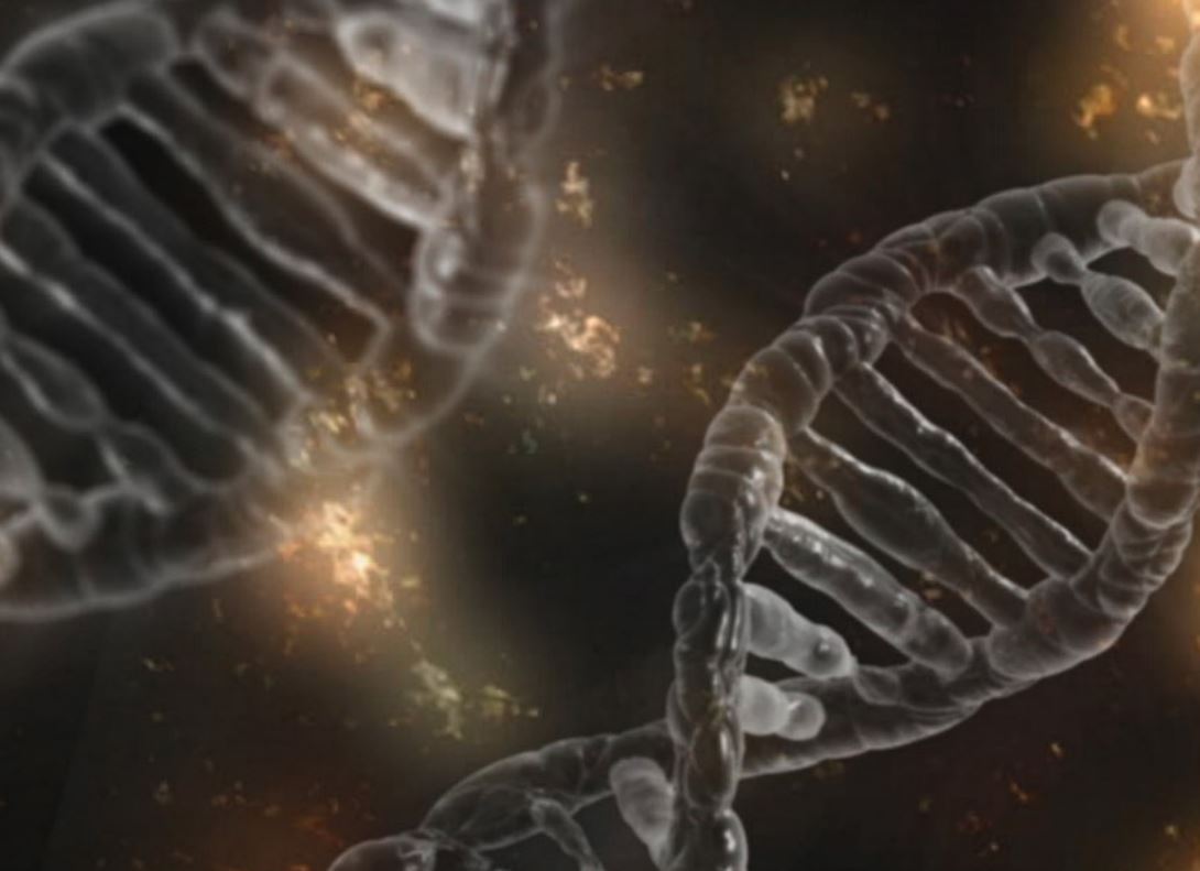 Selbstoptimierende Netzwerke mit DeepLearning4J