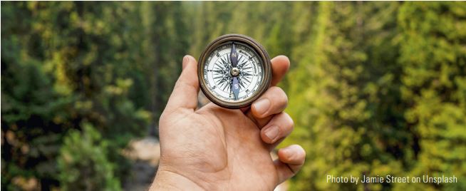 Verlaufen im Qualitätsdschungel?