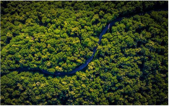 Schritt für Schritt durch das erste Data Science-Projekt