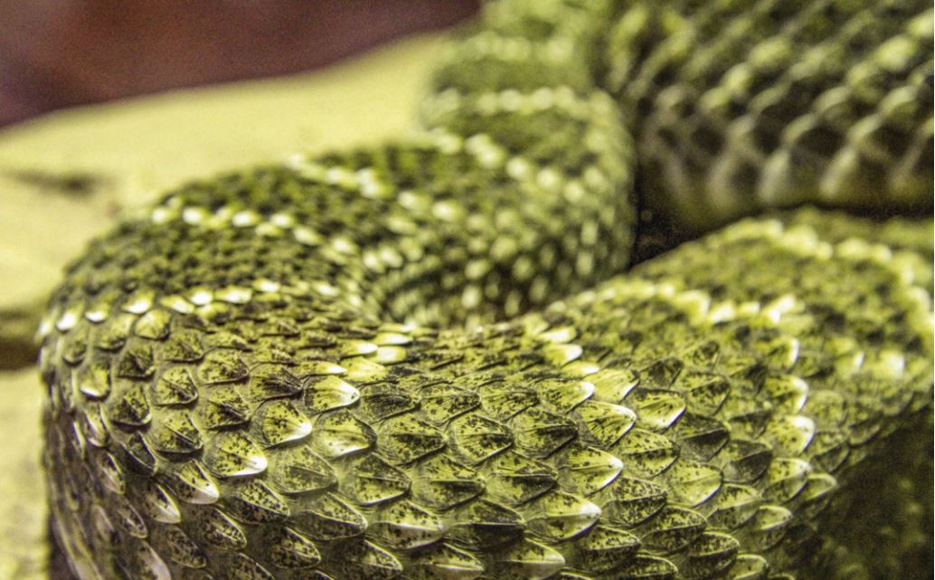 Strategische Anwendungsmodernisierung mit Split+Extract-Strategien