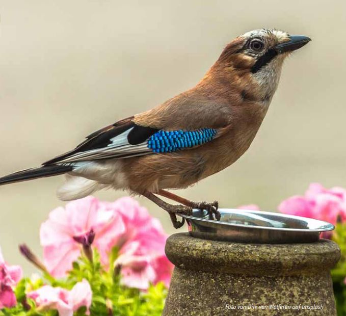 Unter Freunden auf Foojay.io