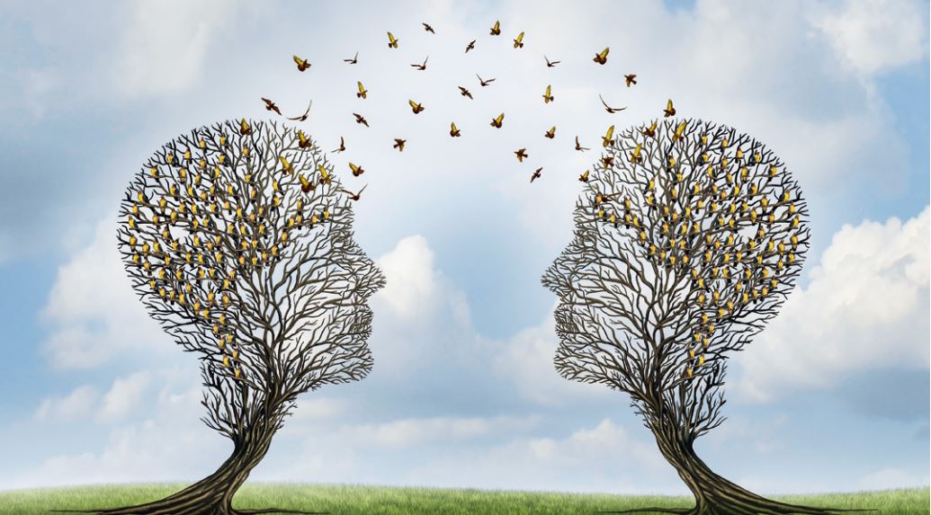 Wie Soziologie und Softwareentwicklung zusammenspielen können