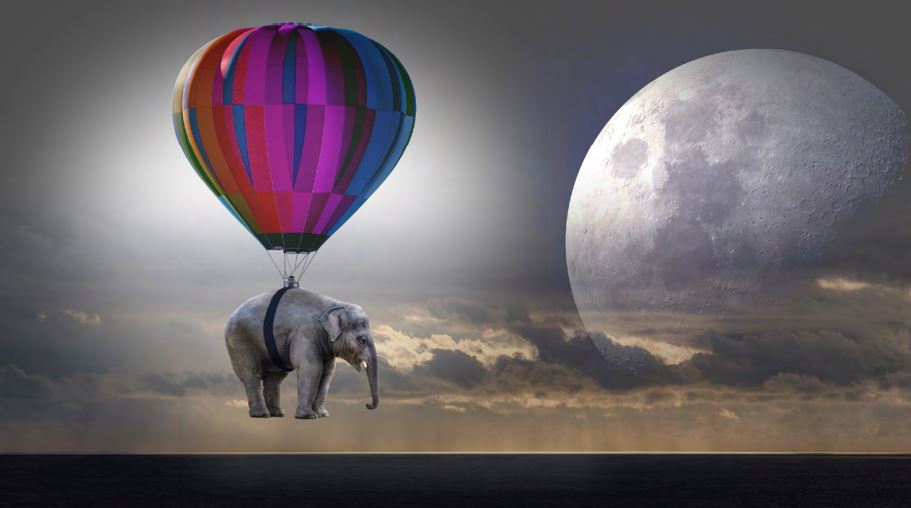 Work in progress: Traumjob, ich komme