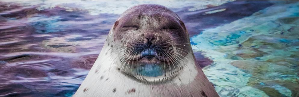 Tipps für manuelle Tests